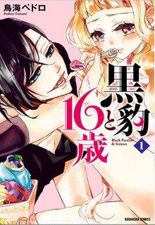 Portada de Kurohyou To 16 Sai