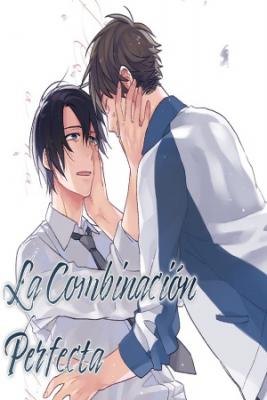 Portada de La Combinacion Perfecta