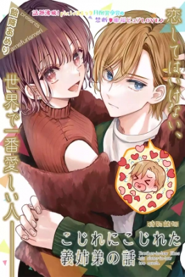 Portada de La Complicada Historia De Dos Hermanastros