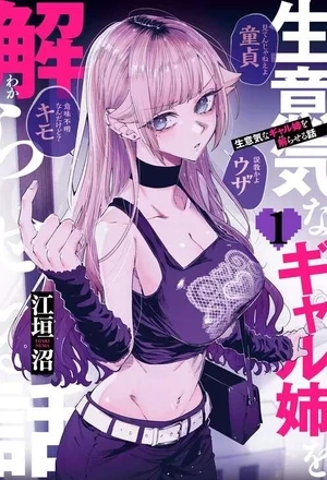 Portada de La Historia De Cómo Logré Que Mi Descarada Hermana Entendiera