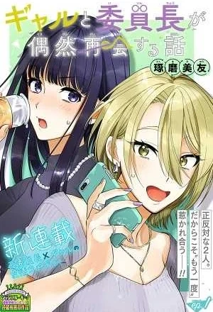 Portada de La historia del inesperado encuentro entre una chica gal y la presidenta del consejo estudiantil