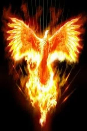 Portada de La verdad del angel caido