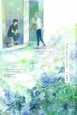 Portada de Labradorescence