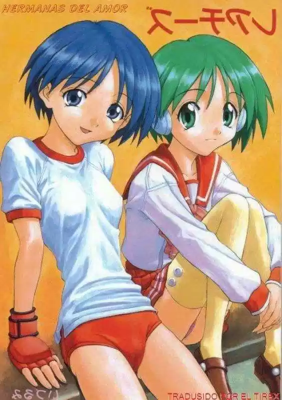 Portada de Las Hermanas Del Amor