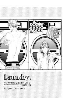 Portada de Laundry
