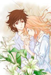 Portada de Lily Love