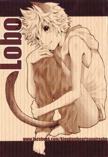Portada de Lobo Akuroku