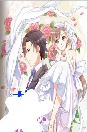 Portada de MARRIAGE IS RARE