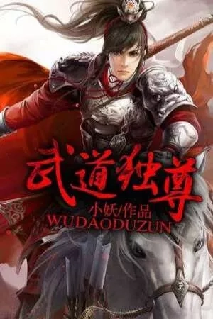 Portada de Martial Arts Reigns (novel)