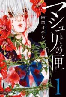 Portada de Mashuri No Hako