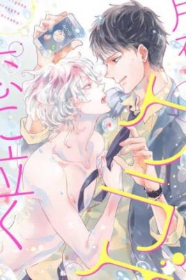 Portada de Medusas Nocturnas Iluminadas Por La Luna Amor Japones