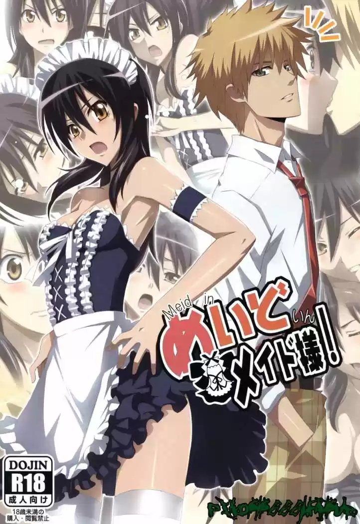 Portada de Meid In Maid Sama Kaichou Wa Maid Sama Yowatari Koujou