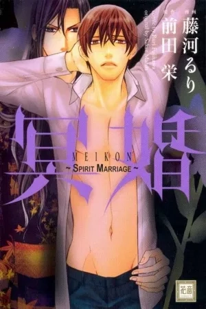 Portada de Meikon