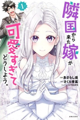 Portada de Mi Esposa Del Pais Vecino Es Tan Linda Que No Se Que Hacer