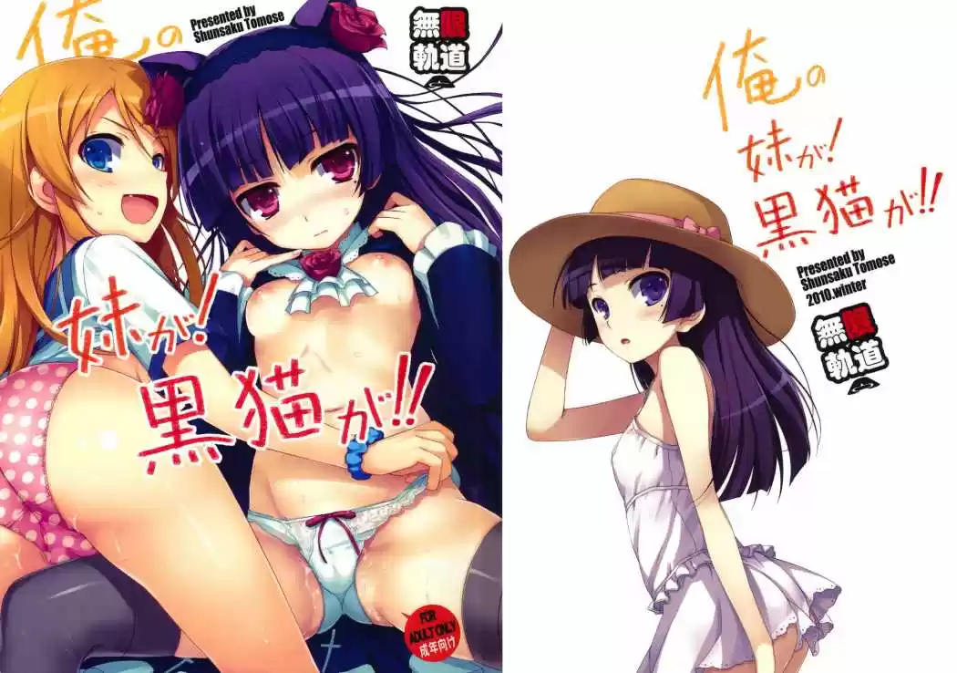 Portada de Mi Hermana Menor Es Kuroneko Es Tomose Shunsaku