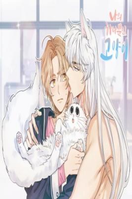 Portada de Mi Unico Gato