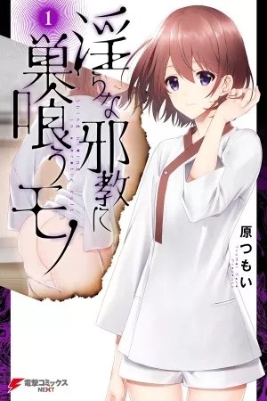 Portada de MIDARANA KAKYOU NI SU KUU MONO