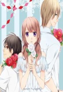 Portada de Mikansei Lovers