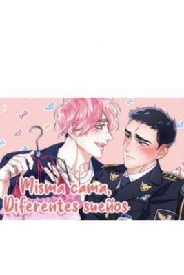 Portada de Misma Cama Diferentes Suenos