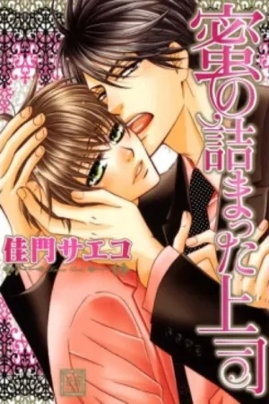 Portada de Mitsu no Tsumatta Joushi
