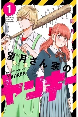 Portada de Mochizuki Sanchi no Yankee / Mochizuki-san Chi no Yankee / 望月さん家のヤンキー / 望月家的不良