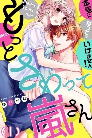 Portada de Motto Sawatte Arashi-san Honki ni natteha Ikemasen