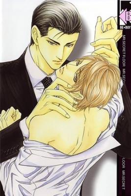 Portada de Mr Secret Floor Ecos De Un Sagaz Novelista