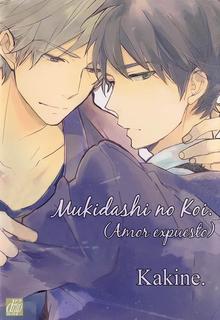 Portada de Mukidashi No Koi