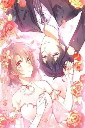 Portada de My Wife is my Student