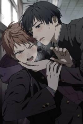 Portada de Nagi Kun Y Hayasaki Kun