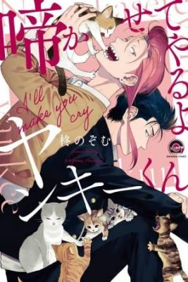 Portada de Nakaseteyaruyo Yankee Kun