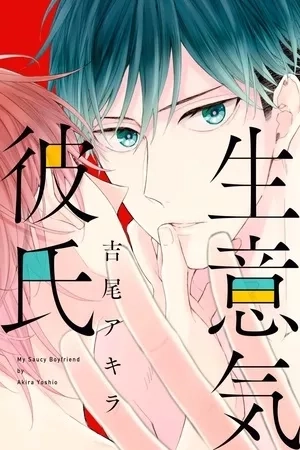 Portada de Namaiki Kareshi