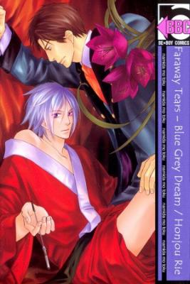 Portada de Namida Mo Tooku Aonibi No Nemuri