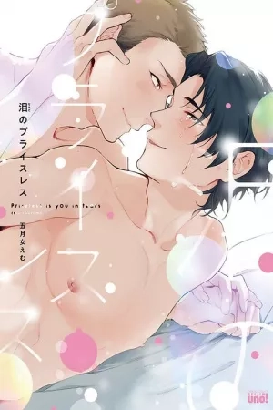 Portada de Namida no Priceless