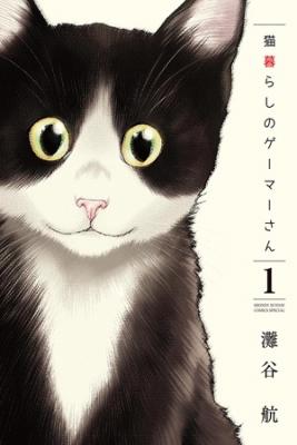 Portada de Neko Gurashi No Gamer San