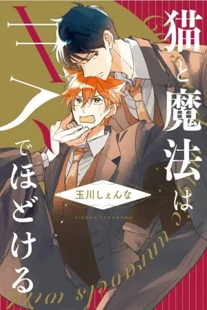 Portada de Neko to Mahou wa Kiss de Hodokeru