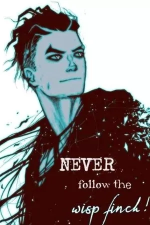 Portada de NEVER FOLLOW THE WISPFINCH