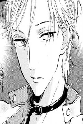 Portada de Nichoume No Nagai Yoru