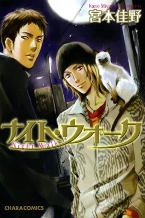 Portada de Night Walk