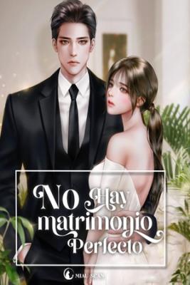 Portada de No Hay Matrimonio Perfecto