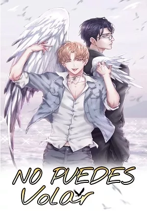 Portada de No podrás volar