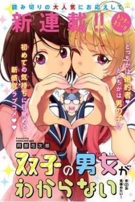 Portada de No Se Cual De Los Gemelos Es Una Chica