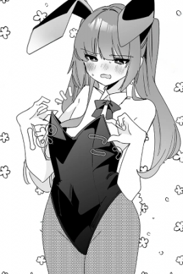 Portada de Novia Plana