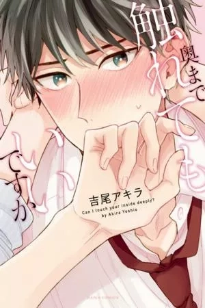 Portada de Oku made furete mo ii desu ka