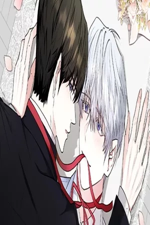 Portada de One Shot One