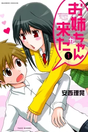 Portada de Onee-chan ga Kita