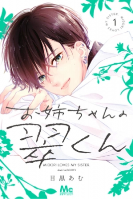 Portada de Onee Chan No Midori Kun
