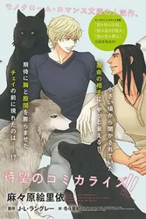 Portada de Ookami wo Karu Housoku
