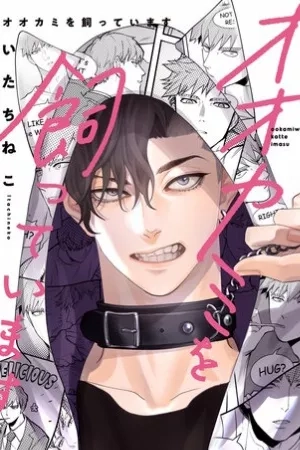 Portada de Ookami wo Katte imasu
