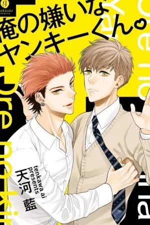 Portada de Ore no Kirai na Yankee-kun